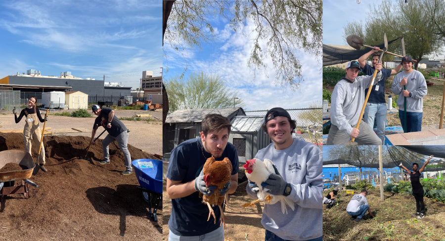 Lectric Ebike employees volunteering at a farm