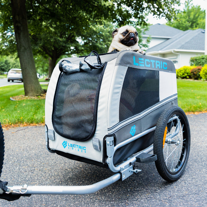 pug in wag-along pet trailer in beautiful neighborhood 