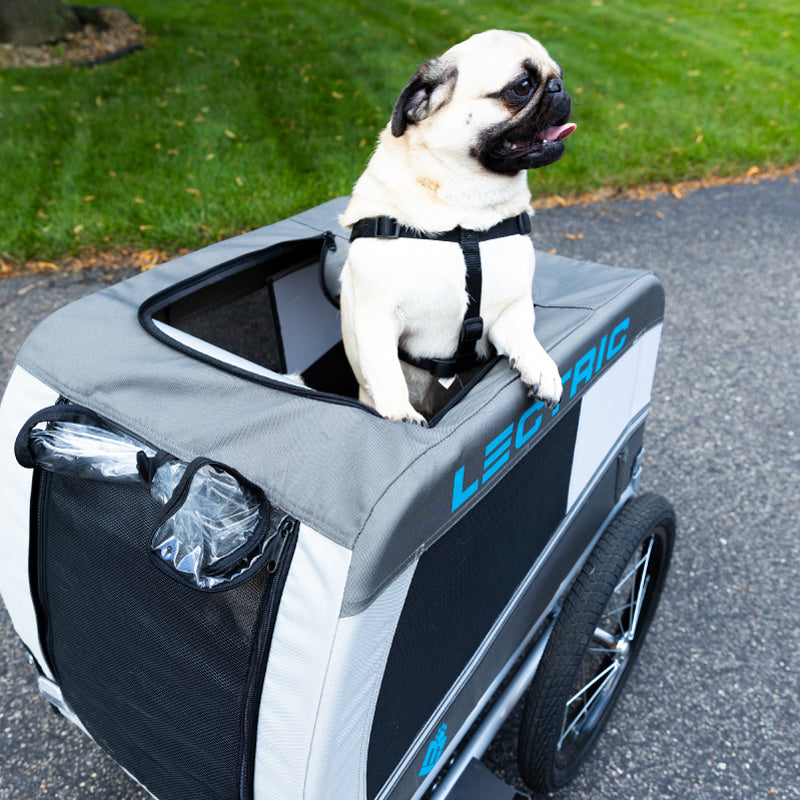 Small dog sticking head out of Lectric Pet Trailer 